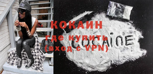 гашик Белокуриха