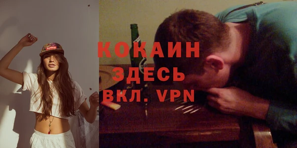 гашик Белокуриха