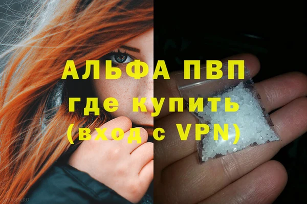 гашик Белокуриха