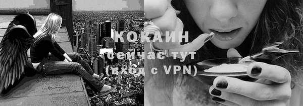 гашик Арсеньев
