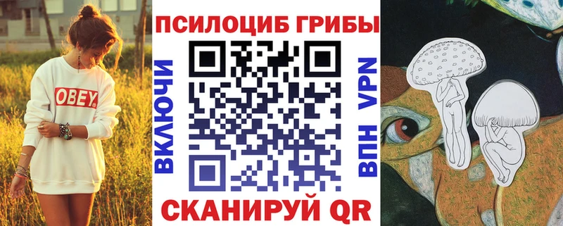 Галлюциногенные грибы Cubensis  хочу наркоту  Касимов 